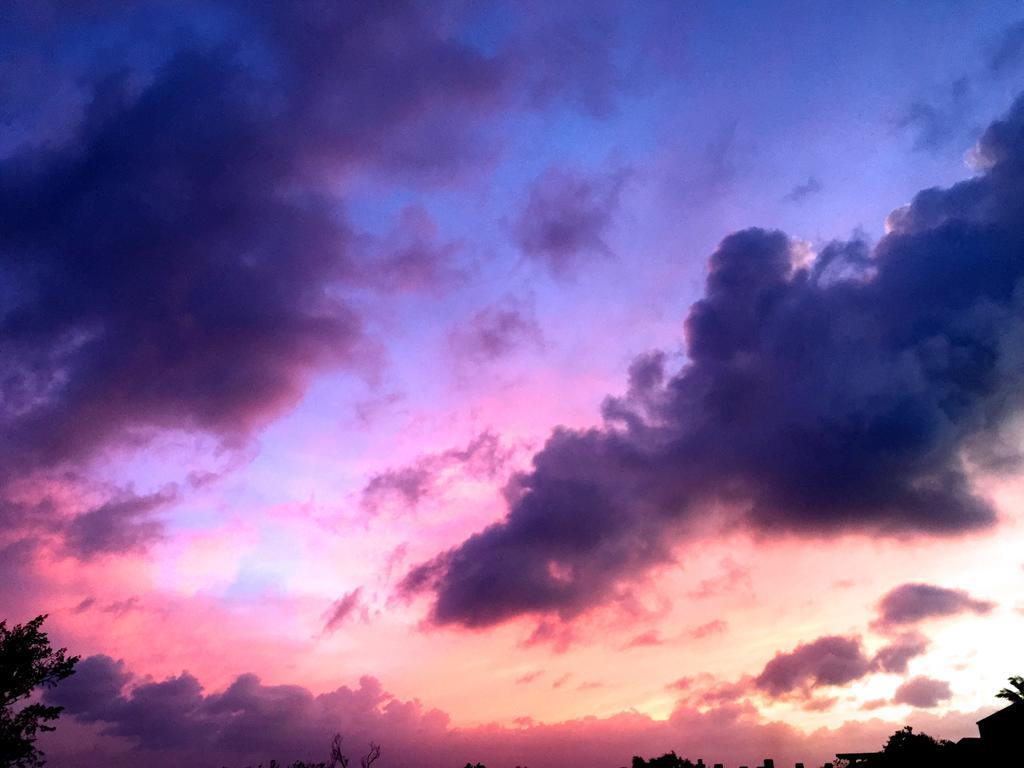 Guesthouse Ho Aloha 石垣市 エクステリア 写真