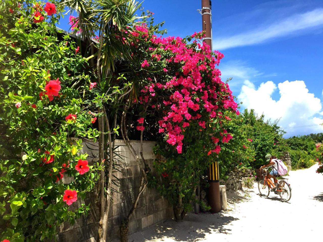 Guesthouse Ho Aloha 石垣市 エクステリア 写真